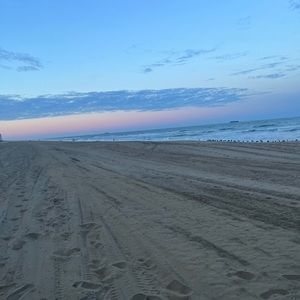 Meet your Posher, Payton